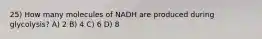 25) How many molecules of NADH are produced during glycolysis? A) 2 B) 4 C) 6 D) 8