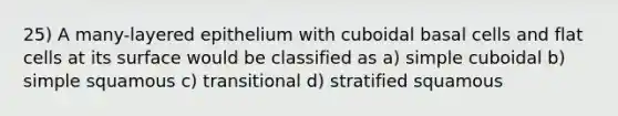 25) A many-layered epithelium with cuboidal basal cells and flat cells at its surface would be classified as a) simple cuboidal b) simple squamous c) transitional d) stratified squamous