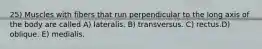 25) Muscles with fibers that run perpendicular to the long axis of the body are called A) lateralis. B) transversus. C) rectus.D) oblique. E) medialis.