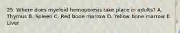 25. Where does myeloid hemopoiesis take place in adults? A. Thymus B. Spleen C. Red bone marrow D. Yellow bone marrow E. Liver