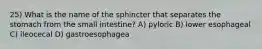 25) What is the name of the sphincter that separates the stomach from the small intestine? A) pyloric B) lower esophageal C) ileocecal D) gastroesophagea