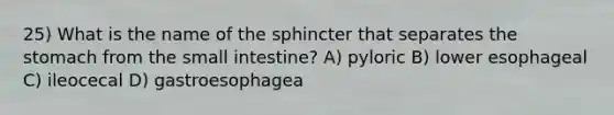 25) What is the name of the sphincter that separates the stomach from the small intestine? A) pyloric B) lower esophageal C) ileocecal D) gastroesophagea