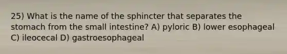 25) What is the name of the sphincter that separates the stomach from the small intestine? A) pyloric B) lower esophageal C) ileocecal D) gastroesophageal