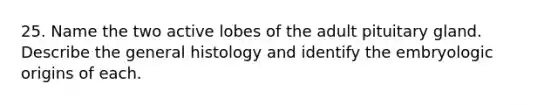 25. Name the two active lobes of the adult pituitary gland. Describe the general histology and identify the embryologic origins of each.