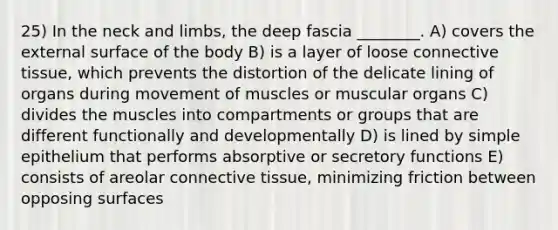 25) In the neck and limbs, the deep fascia ________. A) covers the external surface of the body B) is a layer of loose connective tissue, which prevents the distortion of the delicate lining of organs during movement of muscles or muscular organs C) divides the muscles into compartments or groups that are different functionally and developmentally D) is lined by simple epithelium that performs absorptive or secretory functions E) consists of areolar connective tissue, minimizing friction between opposing surfaces