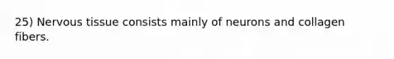 25) Nervous tissue consists mainly of neurons and collagen fibers.