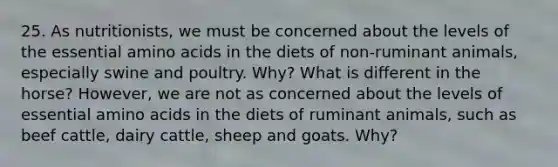 25. As nutritionists, we must be concerned about the levels of the essential <a href='https://www.questionai.com/knowledge/k9gb720LCl-amino-acids' class='anchor-knowledge'>amino acids</a> in the diets of non-ruminant animals, especially swine and poultry. Why? What is different in the horse? However, we are not as concerned about the levels of essential amino acids in the diets of ruminant animals, such as beef cattle, dairy cattle, sheep and goats. Why?