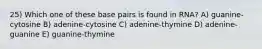 25) Which one of these base pairs is found in RNA? A) guanine-cytosine B) adenine-cytosine C) adenine-thymine D) adenine-guanine E) guanine-thymine