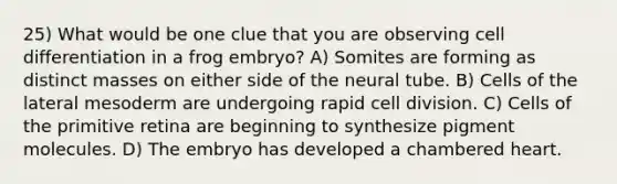 25) What would be one clue that you are observing cell differentiation in a frog embryo? A) Somites are forming as distinct masses on either side of the neural tube. B) Cells of the lateral mesoderm are undergoing rapid cell division. C) Cells of the primitive retina are beginning to synthesize pigment molecules. D) The embryo has developed a chambered heart.