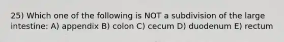 25) Which one of the following is NOT a subdivision of the large intestine: A) appendix B) colon C) cecum D) duodenum E) rectum