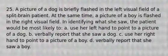 25. A picture of a dog is briefly flashed in the left visual field of a split-brain patient. At the same time, a picture of a boy is flashed in the right visual field. In identifying what she saw, the patient would be most likely to: a. use her left hand to point to a picture of a dog. b. verbally report that she saw a dog. c. use her right hand to point to a picture of a boy. d. verbally report that she saw a boy.