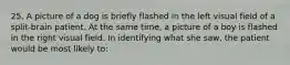 25. A picture of a dog is briefly flashed in the left visual field of a split-brain patient. At the same time, a picture of a boy is flashed in the right visual field. In identifying what she saw, the patient would be most likely to: