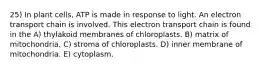 25) In plant cells, ATP is made in response to light. An electron transport chain is involved. This electron transport chain is found in the A) thylakoid membranes of chloroplasts. B) matrix of mitochondria. C) stroma of chloroplasts. D) inner membrane of mitochondria. E) cytoplasm.