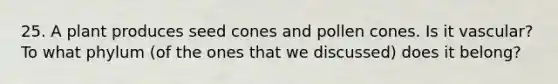 25. A plant produces seed cones and pollen cones. Is it vascular? To what phylum (of the ones that we discussed) does it belong?