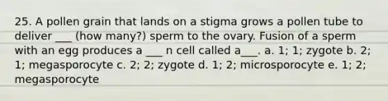 25. A pollen grain that lands on a stigma grows a pollen tube to deliver ___ (how many?) sperm to the ovary. Fusion of a sperm with an egg produces a ___ n cell called a___. a. 1; 1; zygote b. 2; 1; megasporocyte c. 2; 2; zygote d. 1; 2; microsporocyte e. 1; 2; megasporocyte