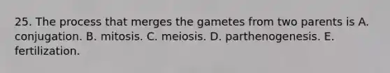 25. The process that merges the gametes from two parents is A. conjugation. B. mitosis. C. meiosis. D. parthenogenesis. E. fertilization.