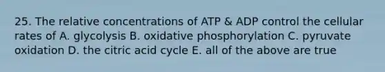 25. The relative concentrations of ATP & ADP control the cellular rates of A. glycolysis B. oxidative phosphorylation C. pyruvate oxidation D. the citric acid cycle E. all of the above are true