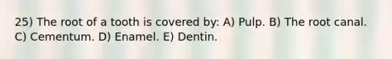 25) The root of a tooth is covered by: A) Pulp. B) The root canal. C) Cementum. D) Enamel. E) Dentin.