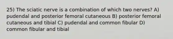 25) The sciatic nerve is a combination of which two nerves? A) pudendal and posterior femoral cutaneous B) posterior femoral cutaneous and tibial C) pudendal and common fibular D) common fibular and tibial