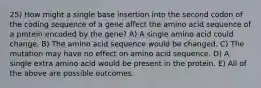 25) How might a single base insertion into the second codon of the coding sequence of a gene affect the amino acid sequence of a protein encoded by the gene? A) A single amino acid could change. B) The amino acid sequence would be changed. C) The mutation may have no effect on amino acid sequence. D) A single extra amino acid would be present in the protein. E) All of the above are possible outcomes.