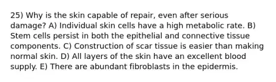 25) Why is the skin capable of repair, even after serious damage? A) Individual skin cells have a high metabolic rate. B) Stem cells persist in both the epithelial and connective tissue components. C) Construction of scar tissue is easier than making normal skin. D) All layers of the skin have an excellent blood supply. E) There are abundant fibroblasts in the epidermis.