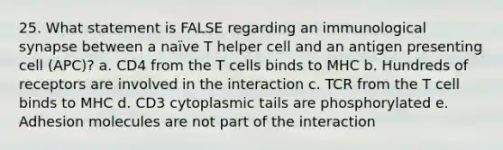 25. What statement is FALSE regarding an immunological synapse between a naïve T helper cell and an antigen presenting cell (APC)? a. CD4 from the T cells binds to MHC b. Hundreds of receptors are involved in the interaction c. TCR from the T cell binds to MHC d. CD3 cytoplasmic tails are phosphorylated e. Adhesion molecules are not part of the interaction