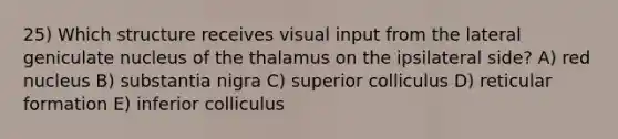 25) Which structure receives visual input from the lateral geniculate nucleus of the thalamus on the ipsilateral side? A) red nucleus B) substantia nigra C) superior colliculus D) reticular formation E) inferior colliculus