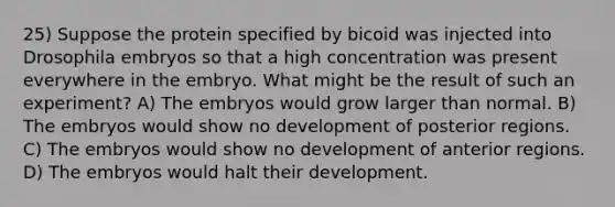 25) Suppose the protein specified by bicoid was injected into Drosophila embryos so that a high concentration was present everywhere in the embryo. What might be the result of such an experiment? A) The embryos would grow larger than normal. B) The embryos would show no development of posterior regions. C) The embryos would show no development of anterior regions. D) The embryos would halt their development.