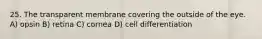 25. The transparent membrane covering the outside of the eye. A) opsin B) retina C) cornea D) cell differentiation