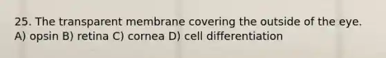 25. The transparent membrane covering the outside of the eye. A) opsin B) retina C) cornea D) cell differentiation