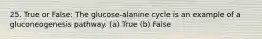 25. True or False: The glucose-alanine cycle is an example of a gluconeogenesis pathway. (a) True (b) False