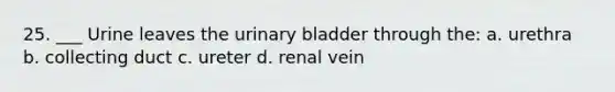 25. ___ Urine leaves the <a href='https://www.questionai.com/knowledge/kb9SdfFdD9-urinary-bladder' class='anchor-knowledge'>urinary bladder</a> through the: a. urethra b. collecting duct c. ureter d. renal vein