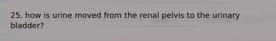 25. how is urine moved from the renal pelvis to the urinary bladder?