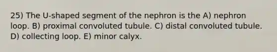 25) The U-shaped segment of the nephron is the A) nephron loop. B) proximal convoluted tubule. C) distal convoluted tubule. D) collecting loop. E) minor calyx.