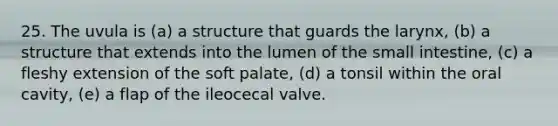 25. The uvula is (a) a structure that guards the larynx, (b) a structure that extends into the lumen of the small intestine, (c) a fleshy extension of the soft palate, (d) a tonsil within the oral cavity, (e) a flap of the ileocecal valve.