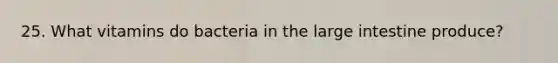 25. What vitamins do bacteria in the large intestine produce?