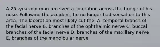 A 25 -year-old man received a laceration across the bridge of his nose. Following the accident, he no longer had sensation to this area. The laceration most likely cut the: A. temporal branch of the facial nerve B. branches of the ophthalmic nerve C. buccal branches of the facial nerve D. branches of the maxillary nerve E. branches of the mandibular nerve