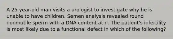 A 25 year-old man visits a urologist to investigate why he is unable to have children. Semen analysis revealed round nonmotile sperm with a DNA content at n. The patient's infertility is most likely due to a functional defect in which of the following?