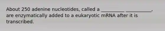 About 250 adenine nucleotides, called a __________ ___________, are enzymatically added to a eukaryotic mRNA after it is transcribed.