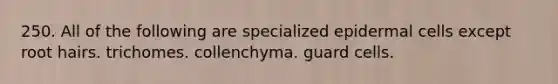 250. All of the following are specialized epidermal cells except root hairs. trichomes. collenchyma. guard cells.