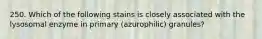 250. Which of the following stains is closely associated with the lysosomal enzyme in primary (azurophilic) granules?