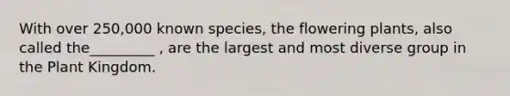 With over 250,000 known species, the flowering plants, also called the_________ , are the largest and most diverse group in the Plant Kingdom.