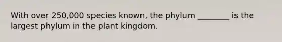 With over 250,000 species known, the phylum ________ is the largest phylum in the plant kingdom.