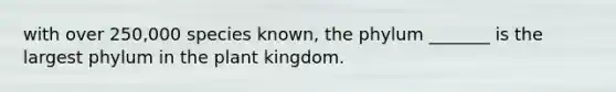 with over 250,000 species known, the phylum _______ is the largest phylum in the plant kingdom.