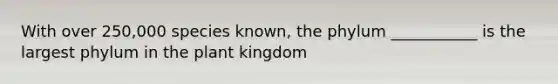 With over 250,000 species known, the phylum ___________ is the largest phylum in the plant kingdom