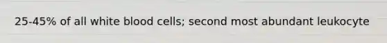 25-45% of all white blood cells; second most abundant leukocyte