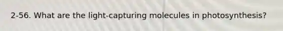 2-56. What are the light-capturing molecules in photosynthesis?