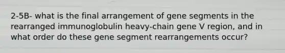 2-5B- what is the final arrangement of gene segments in the rearranged immunoglobulin heavy-chain gene V region, and in what order do these gene segment rearrangements occur?