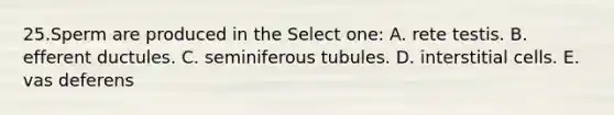 25.Sperm are produced in the Select one: A. rete testis. B. efferent ductules. C. seminiferous tubules. D. interstitial cells. E. vas deferens