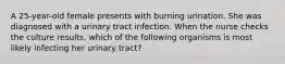 A 25-year-old female presents with burning urination. She was diagnosed with a urinary tract infection. When the nurse checks the culture results, which of the following organisms is most likely infecting her urinary tract?